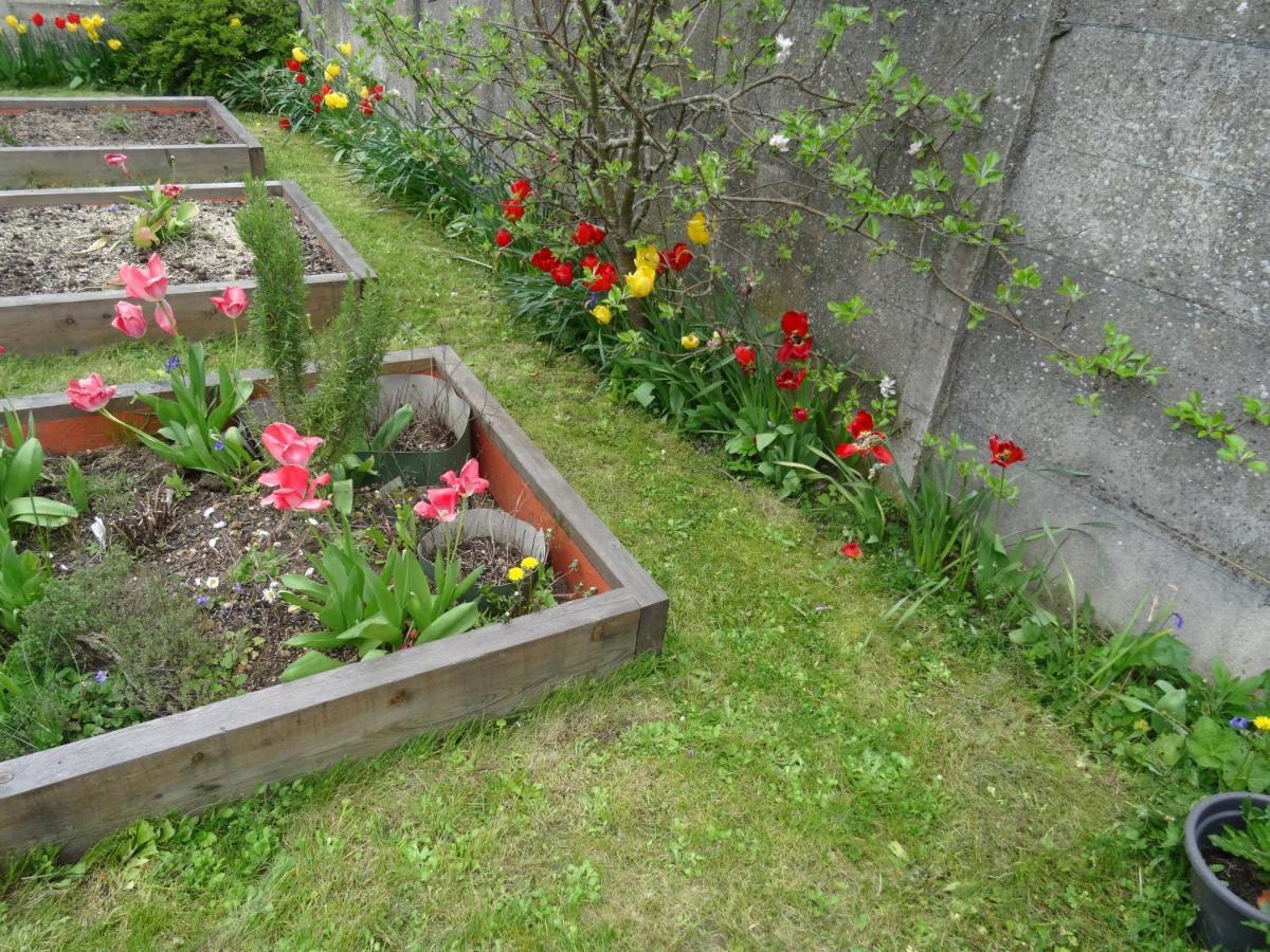 Maison D'Hotes Les Roses Tremieres Saclay Luaran gambar