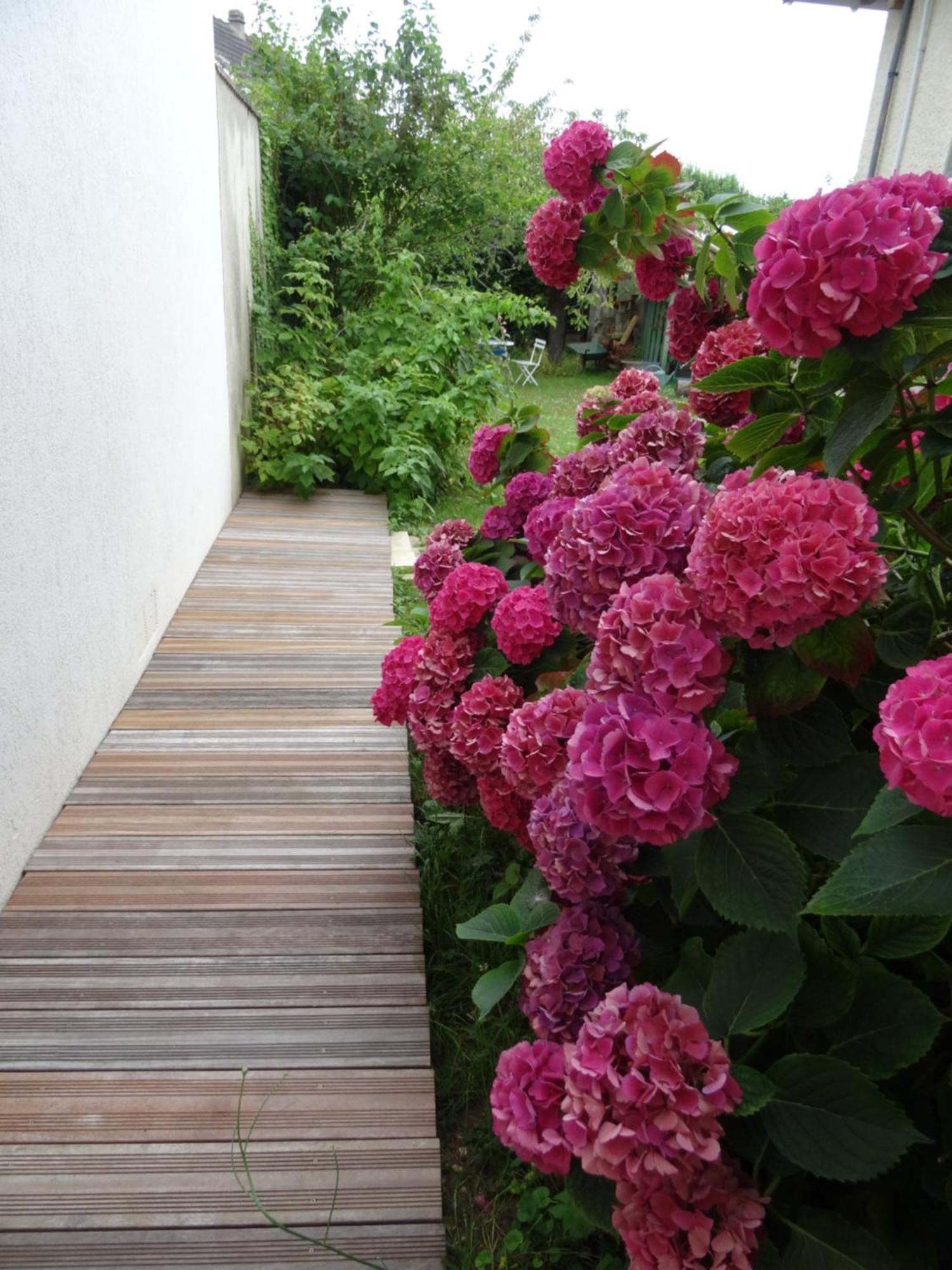Maison D'Hotes Les Roses Tremieres Saclay Luaran gambar